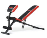 York Warrior 2 in 1 Dumbbell & Ab Bench with Curl