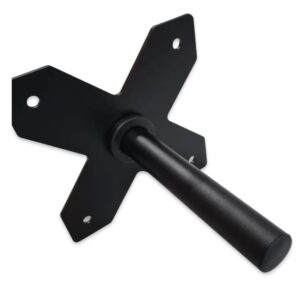 Swiss Barbell X Weight Horn